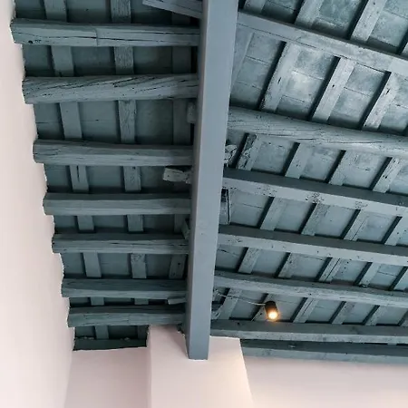 Leoncillos * Seville
