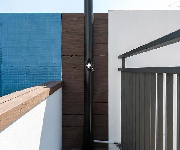 Leoncillos * Sevilla